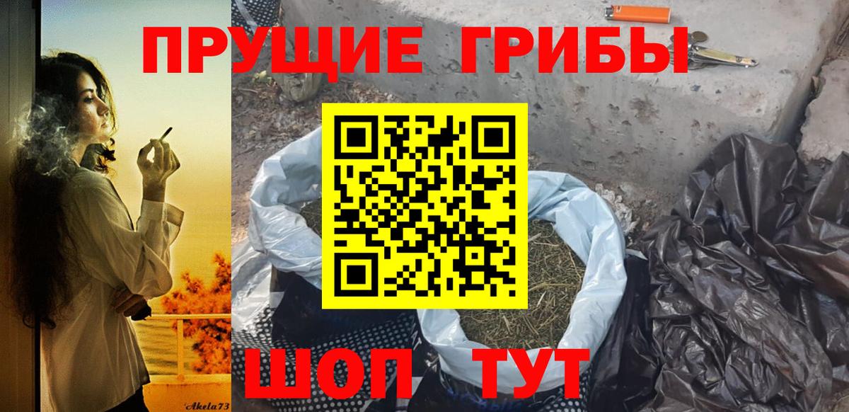 Кинель  купить  цена  Вход с VPN  Галлюциногенные грибы мухоморы 